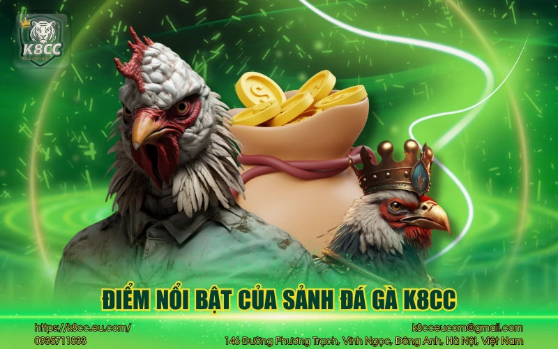 Điểm nổi bật của sảnh đá gà K8CC
