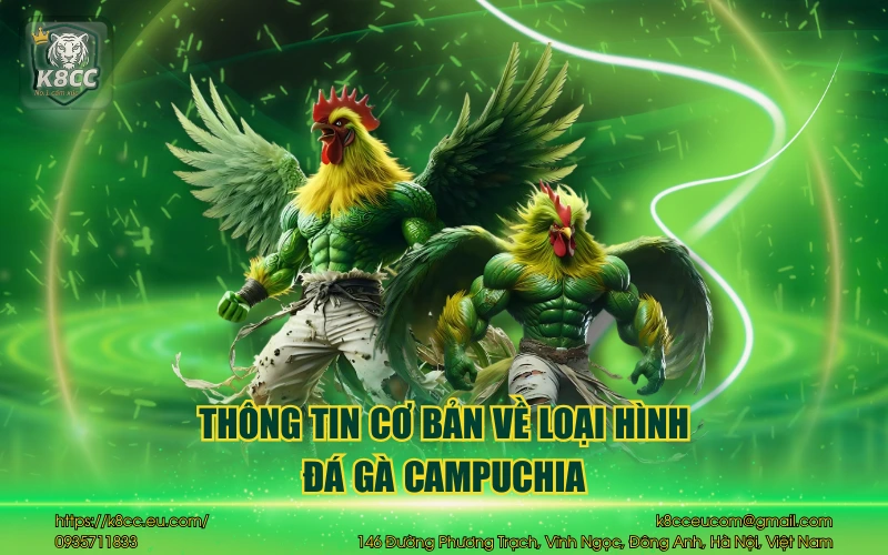 Thông tin cơ bản về loại hình đá gà Campuchia