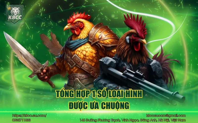 Tổng hợp 1 số loại hình được ưa chuộng